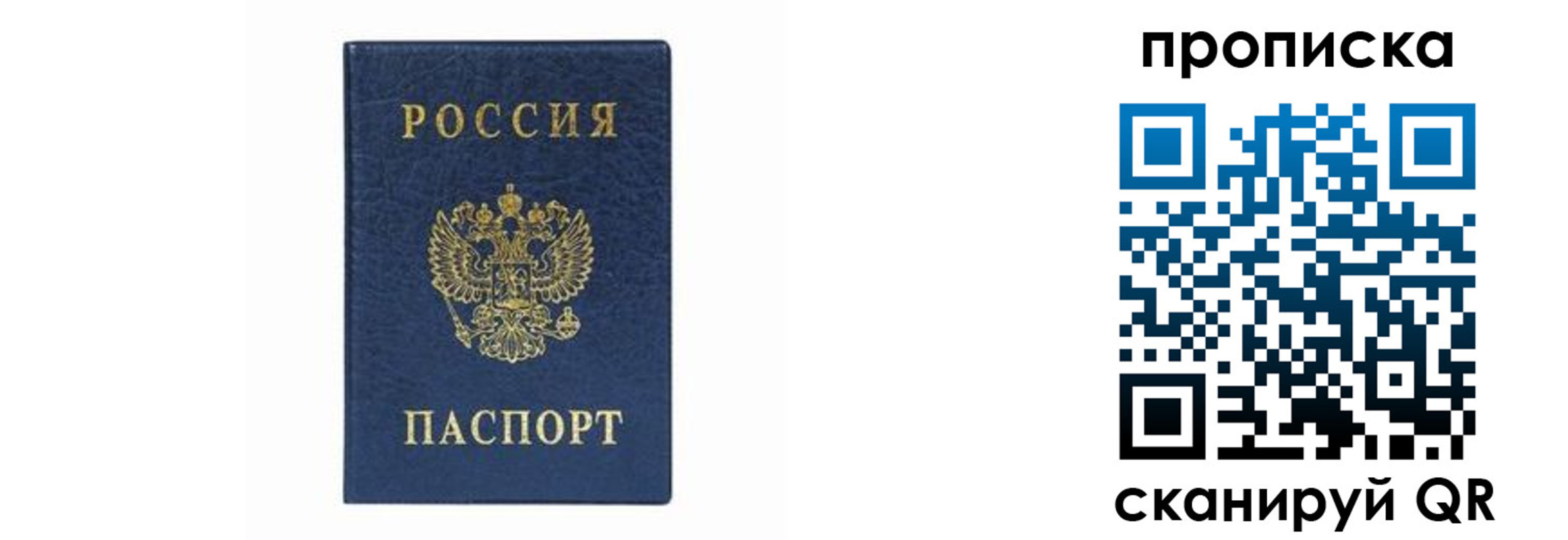 временная регистрация поиск в Похвистнево
